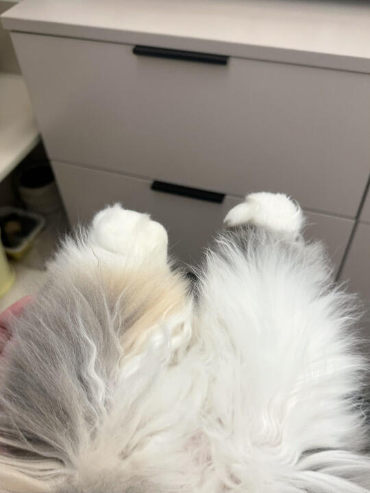 春天了怎么还在穿毛裤