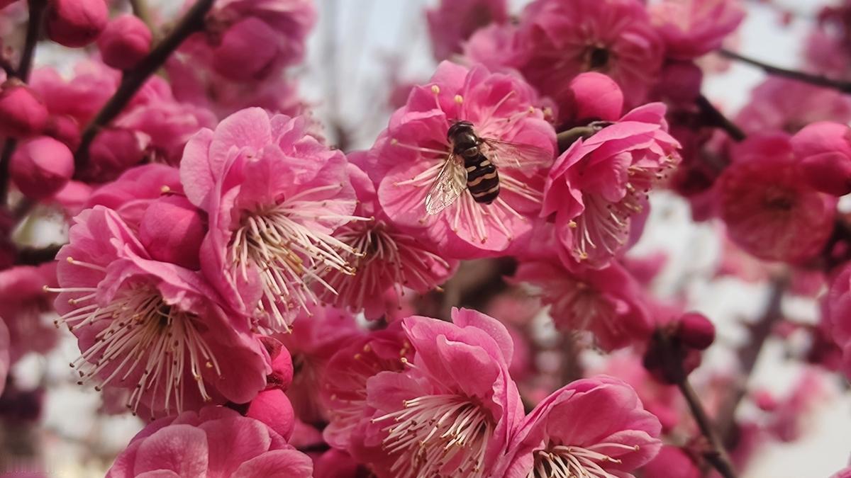 失去的风景，走散的人；等不来的渴望，都住在缘分的尽头。何必执着，该来的自然来，会