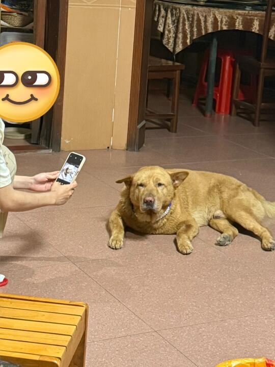 屏幕前的家人们觉得我应该怎么做