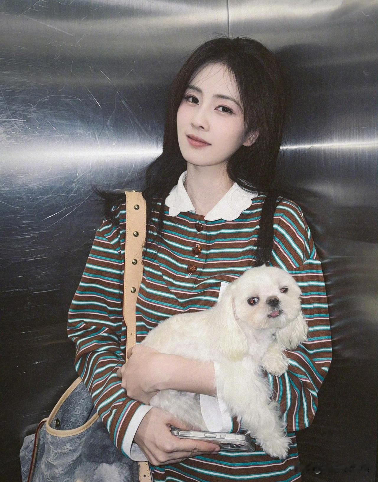 12月15日，白鹿计划休息半年，如今才不过2个月，于正就捉襟见肘了，一边为了捧赵