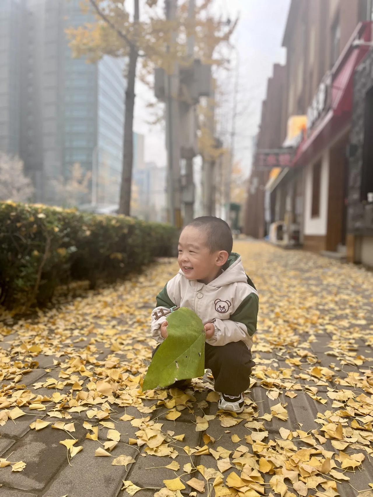 七绝  叶子
忽见满地树叶子，
娃娃一脸喜滋滋。
大叶子与小叶子，
望不尽的黄叶