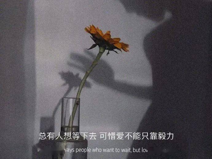 看完你就释怀了宫崎骏说："真正喜欢你的人根本舍不得长时间不理你，他会拼了命往你的