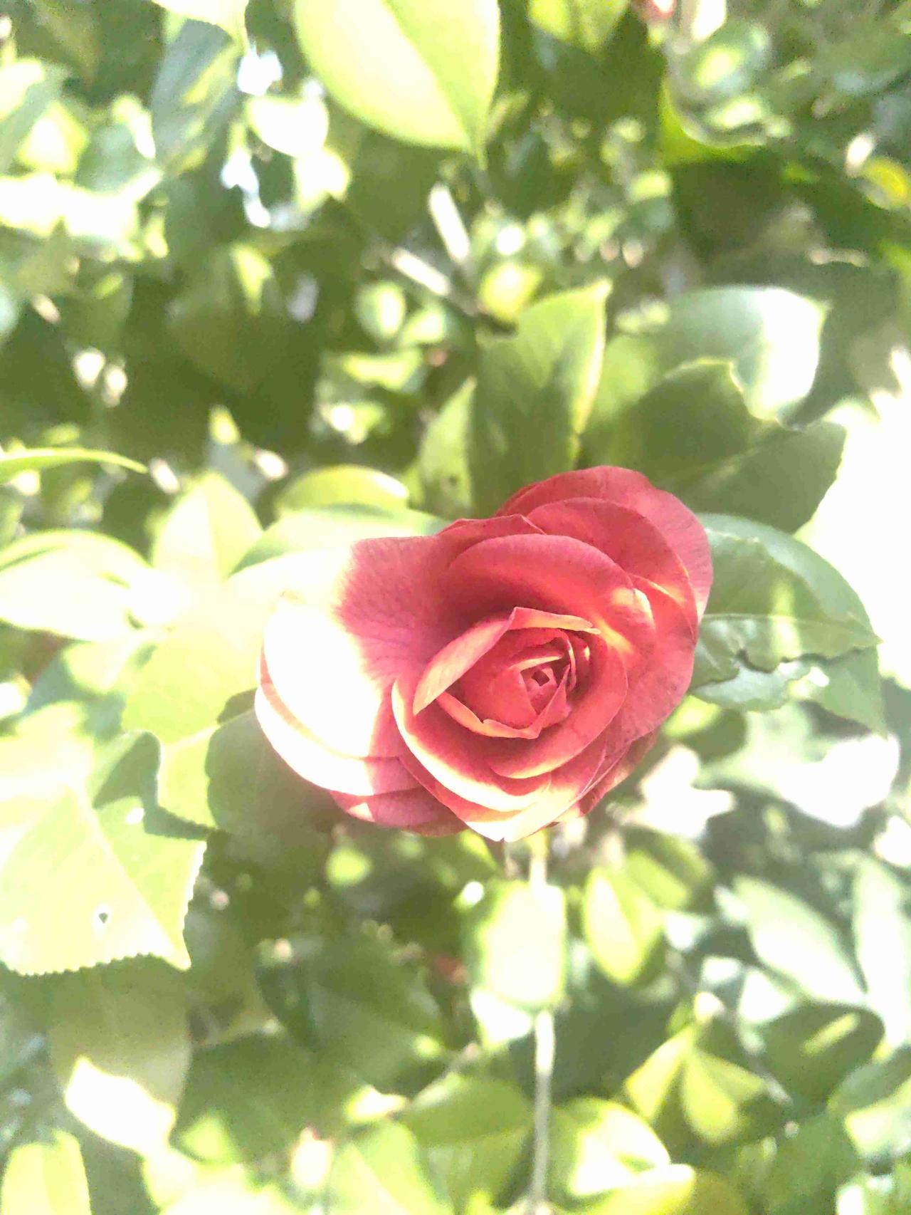 带定位晒今日生活 带定位晒今日生活 [具体定位]
今日佯装欢颜，实则满腹苦水。但