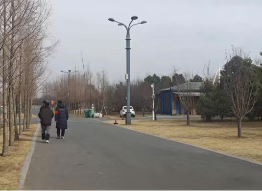 秦岭笑谈 【青春扎根实践：文昌湖湿地与乡村协同发展】曲阜师范大学三下乡社会实践青