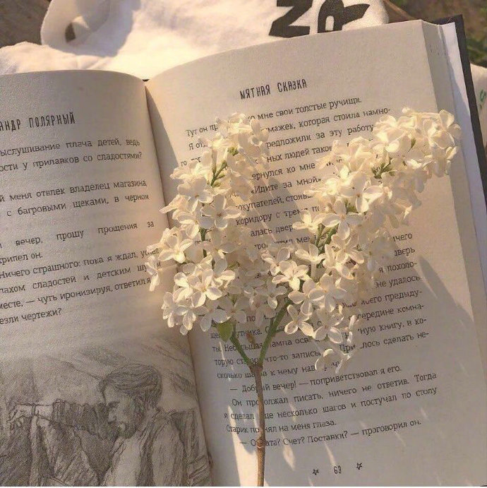 世界不会因为你而难过，我们终将学会与自己好好相处。 ——  独木舟《孤单星球》 