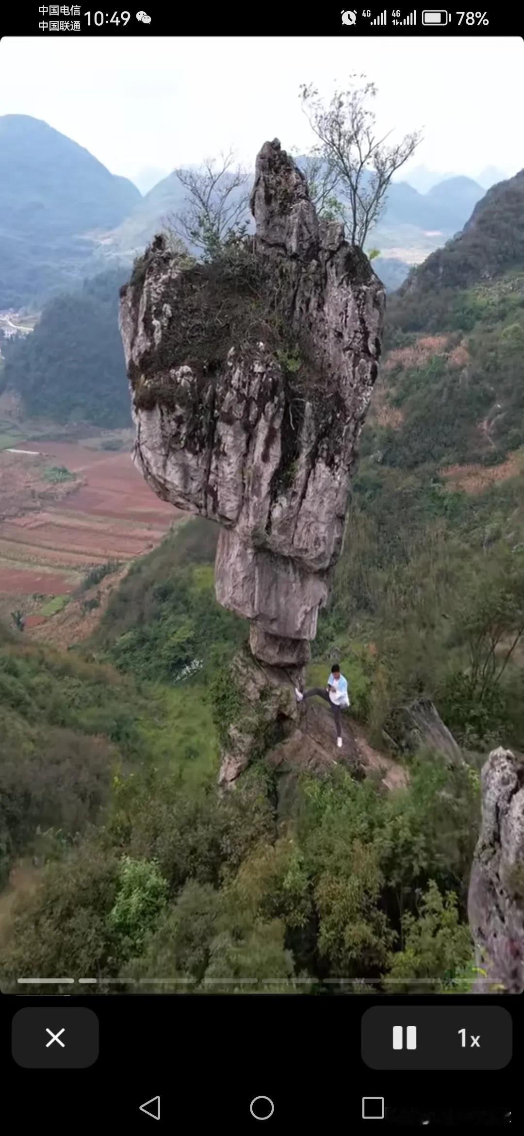 “这个世界你不欠任何人，除了你的父母”
这段话不光震撼了我也震撼了世人，震醒了世
