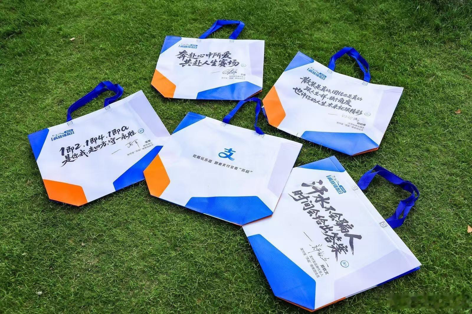 百店发支付宝助威袋为南京队加油闲暇时漫步金陵STYLE，被巨型足球装置吸引。写下