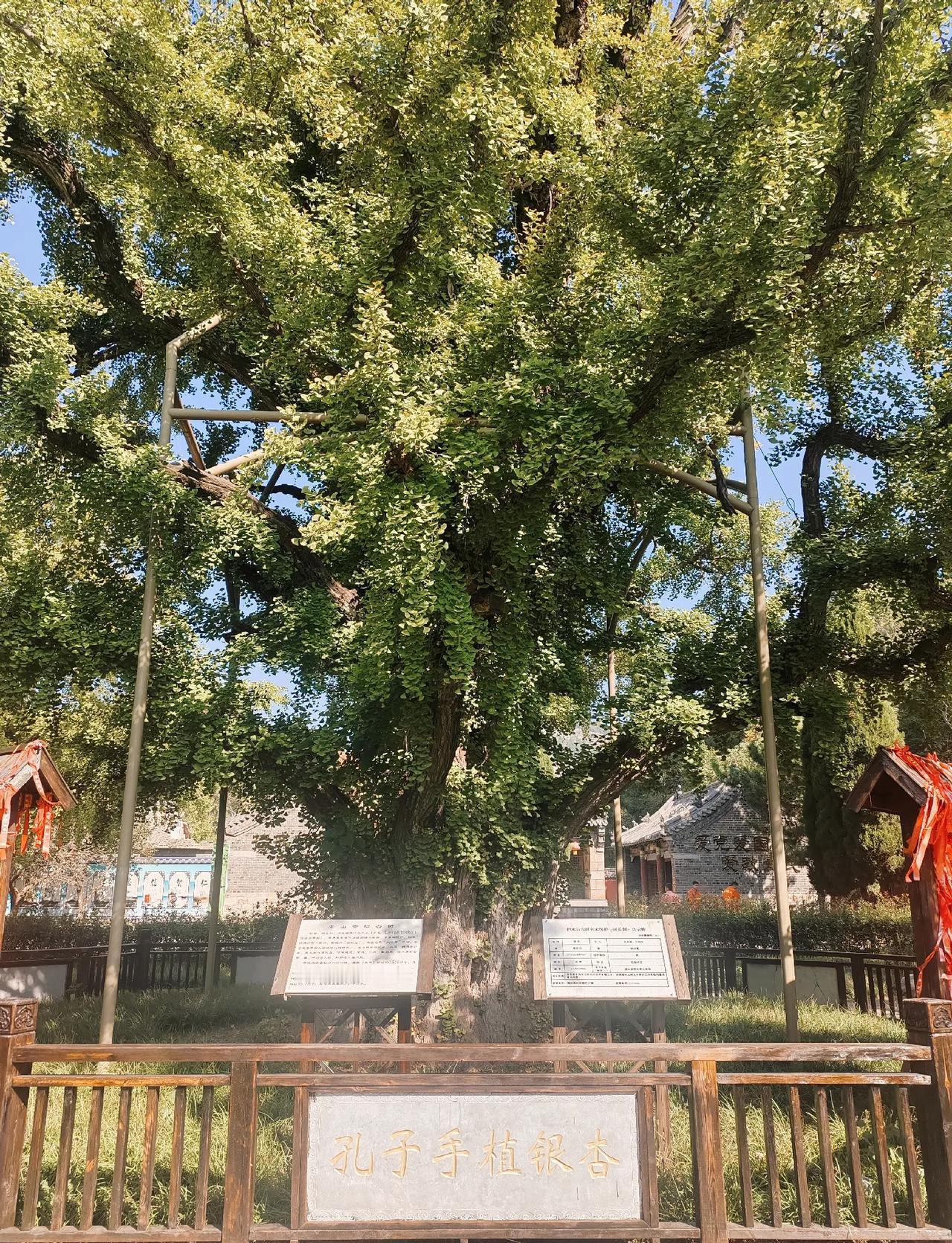#十一假期怎么过#
今天是国庆假期的第四天，总不能老是宅在家里，想来想去还是到周