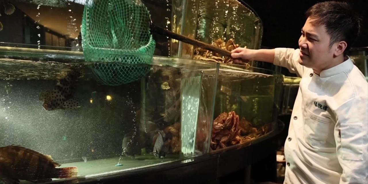 台湾400亿火锅市场杀得头破血流，大家都在降价卷性价比，这家店却敢把锅底卖到22