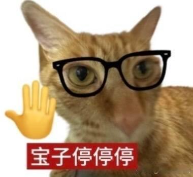 你们能不能别那么容易被带着跑啊……什么叫陪着度过🐟最难的时期？？？首先团综他录