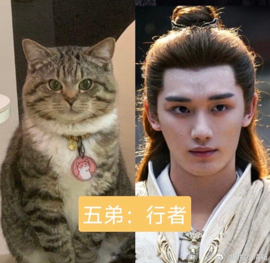 诡秘这是你爱看的云中五虎代餐造浪吧国庆档 谁懂啊！刺小2云中五虎的动物塑代餐，从