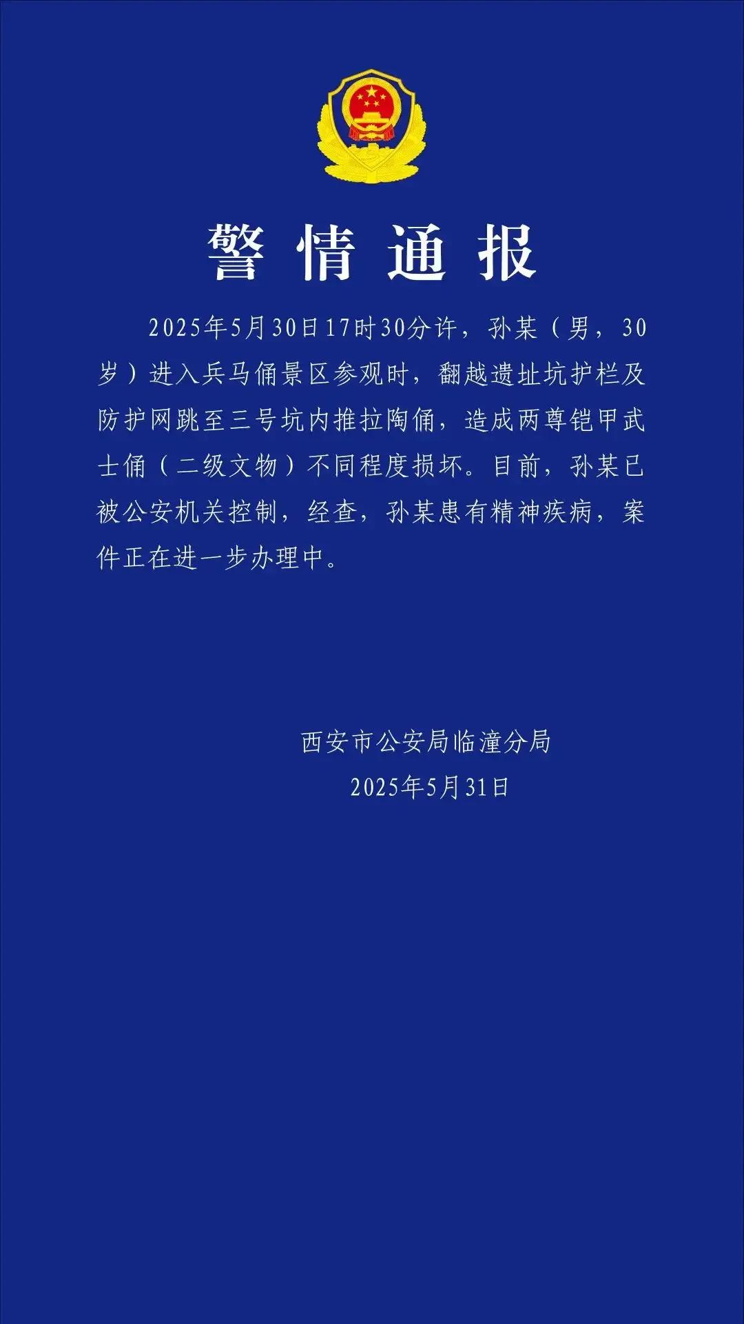 一句话“患有精神疾病”，两尊兵马俑就这样很无辜的被损坏了！据报道，2025年5月