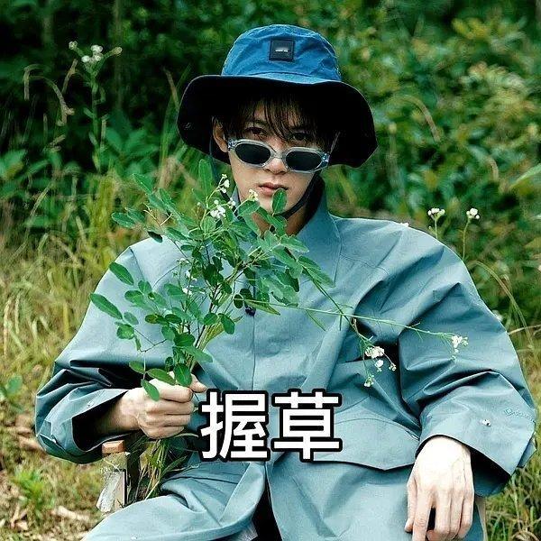 一旦看见新一轮身高贴，说明🦔最新动态活动的破防流程抵达【找不到新角度】了 ​​