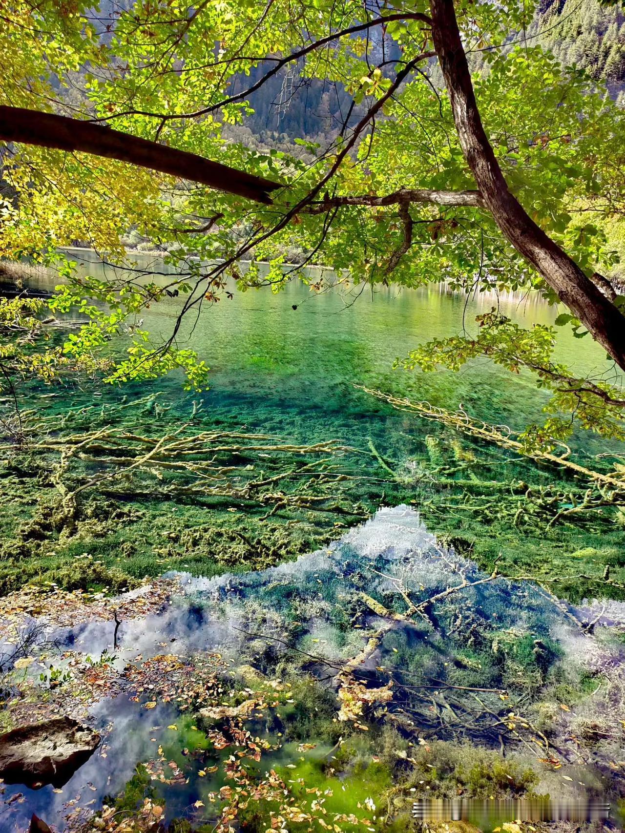 家乡的风光，虽不繁华，却温馨如初，治愈着每一颗归乡的心。