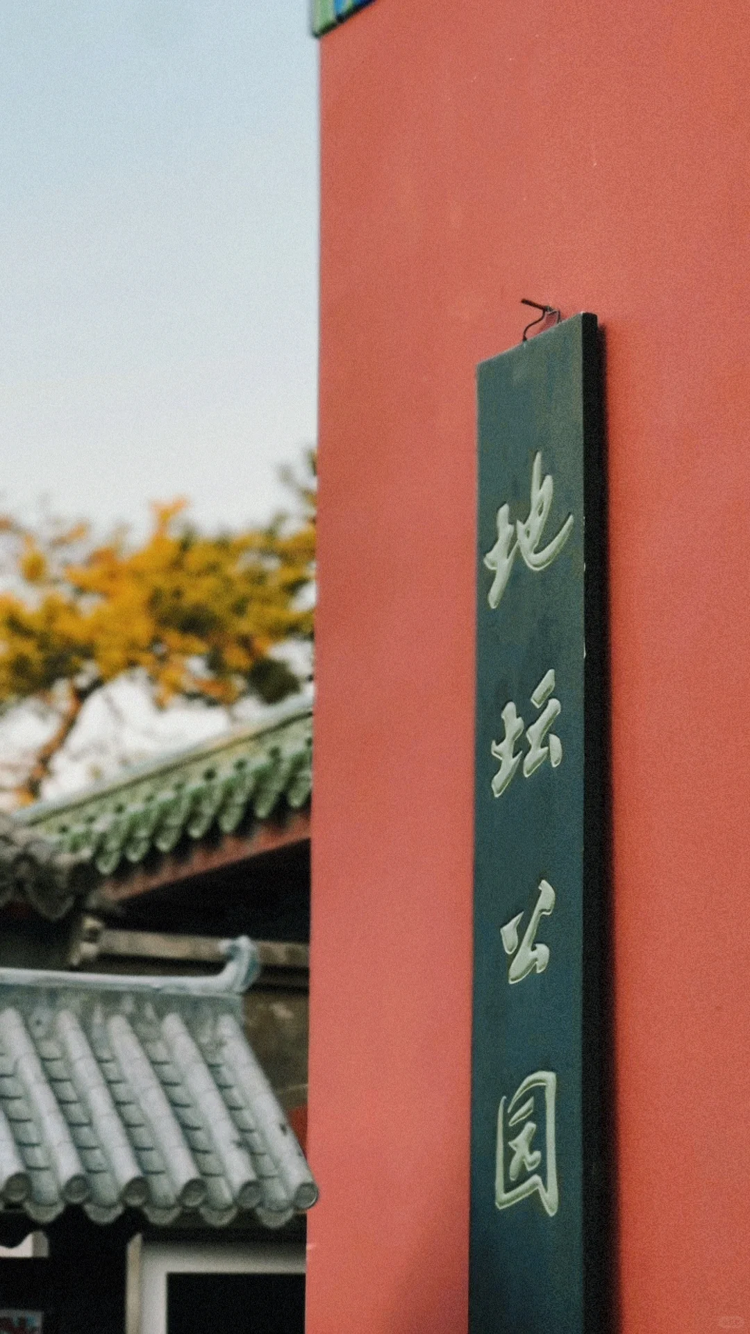 秋游记｜11.7实拍地坛公园🍁附拍照集章攻略