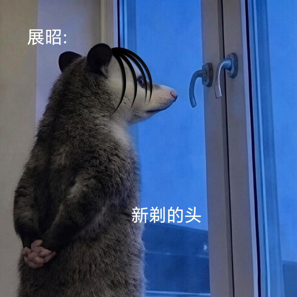 雨霖铃雨霖铃剧粉可太有梗了 负鼠表情包很有意思‼️ 
