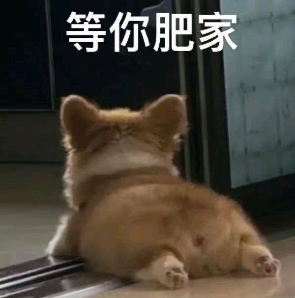 最近存的一些表情包 ​​​