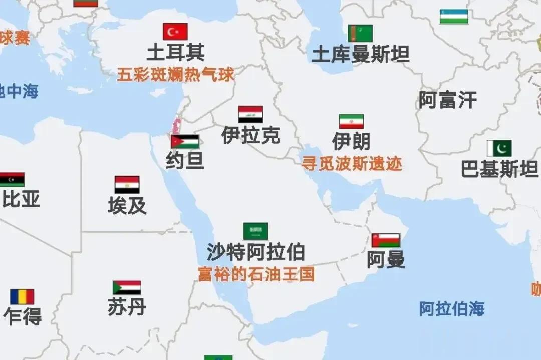 中国的目标是团结阿拉伯世界，扩大在中东地区的影响力，保障自身对中东地区的能源需求
