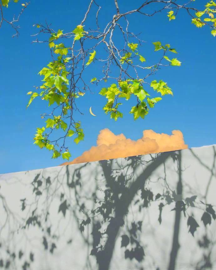 不要害怕孤独。因为这个世界上。肯定有一个人，正努力的走向你。——宫崎骏