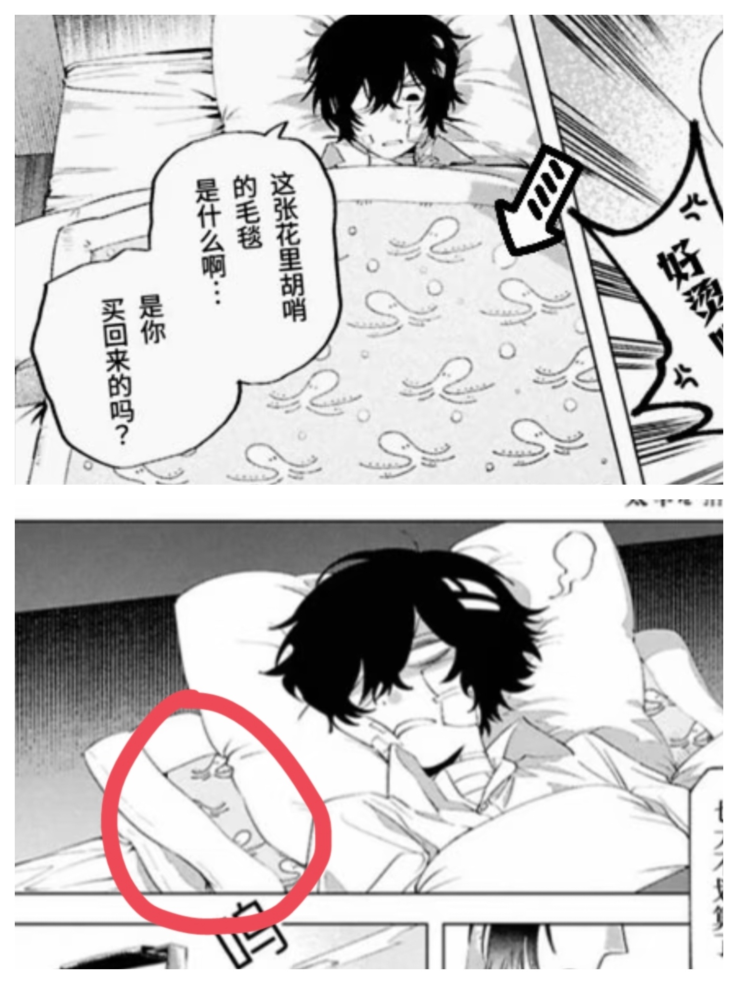 老织……竟然不止换了水壶，他说被子破，就买回来个花里胡哨的毛毯，他说毛毯不好，就