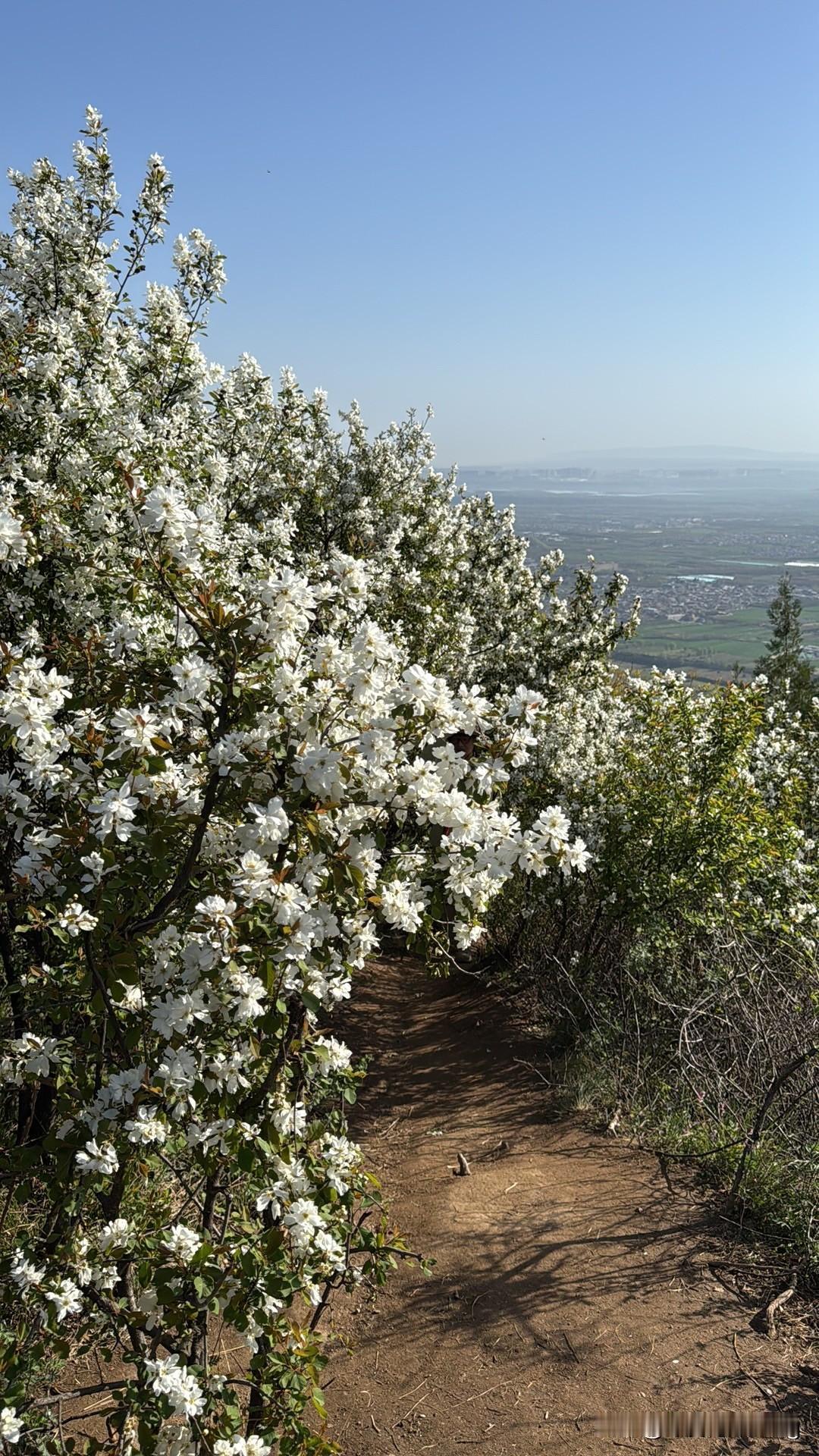 拍照是我闲暇时光打发时间的最佳选择，每当看到美景就会拍下来