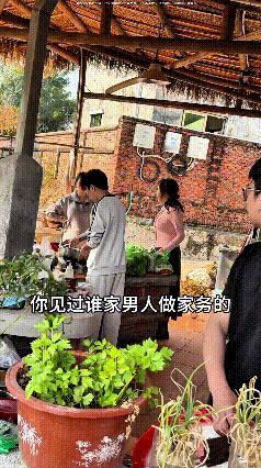 哎呀妈呀，这视频看得我直乐！这婆婆说“谁家男人做家务啊”，儿媳直接怼回去，又暖心