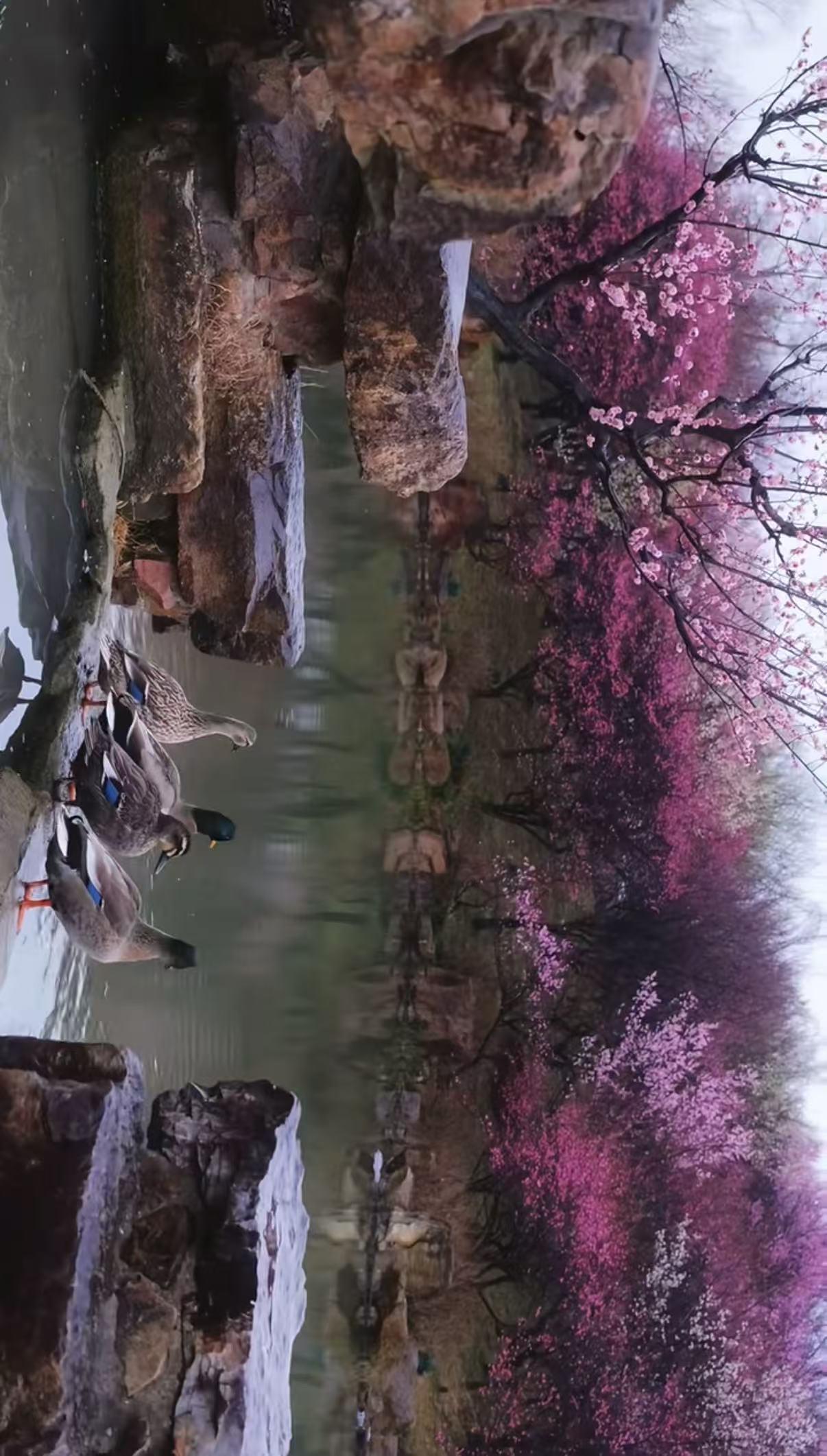 虽然看起来今天的市场表现不错，上证指数是红盘，但是实际上个股跌的非常多，基本上是