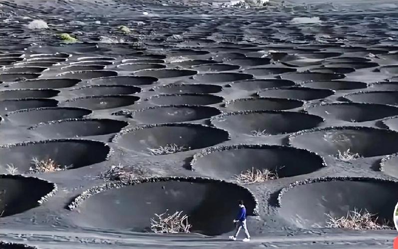 恒河下游
 
这片区域覆盖印度西孟加拉邦、比哈尔邦南部，直至孟加拉国全境，最终汇