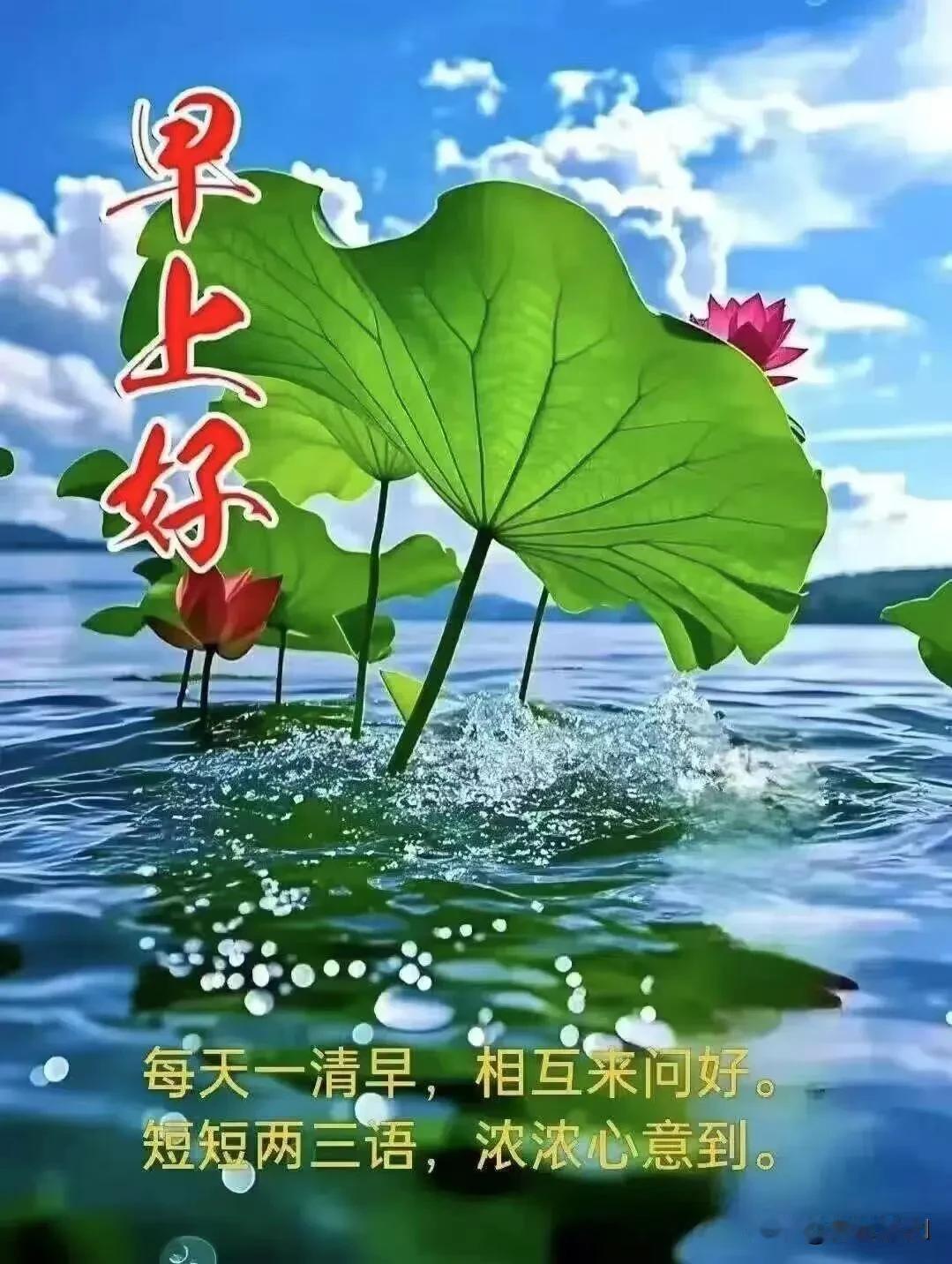 新的一天，揣着温柔与热爱，好好生活，慢慢发光。