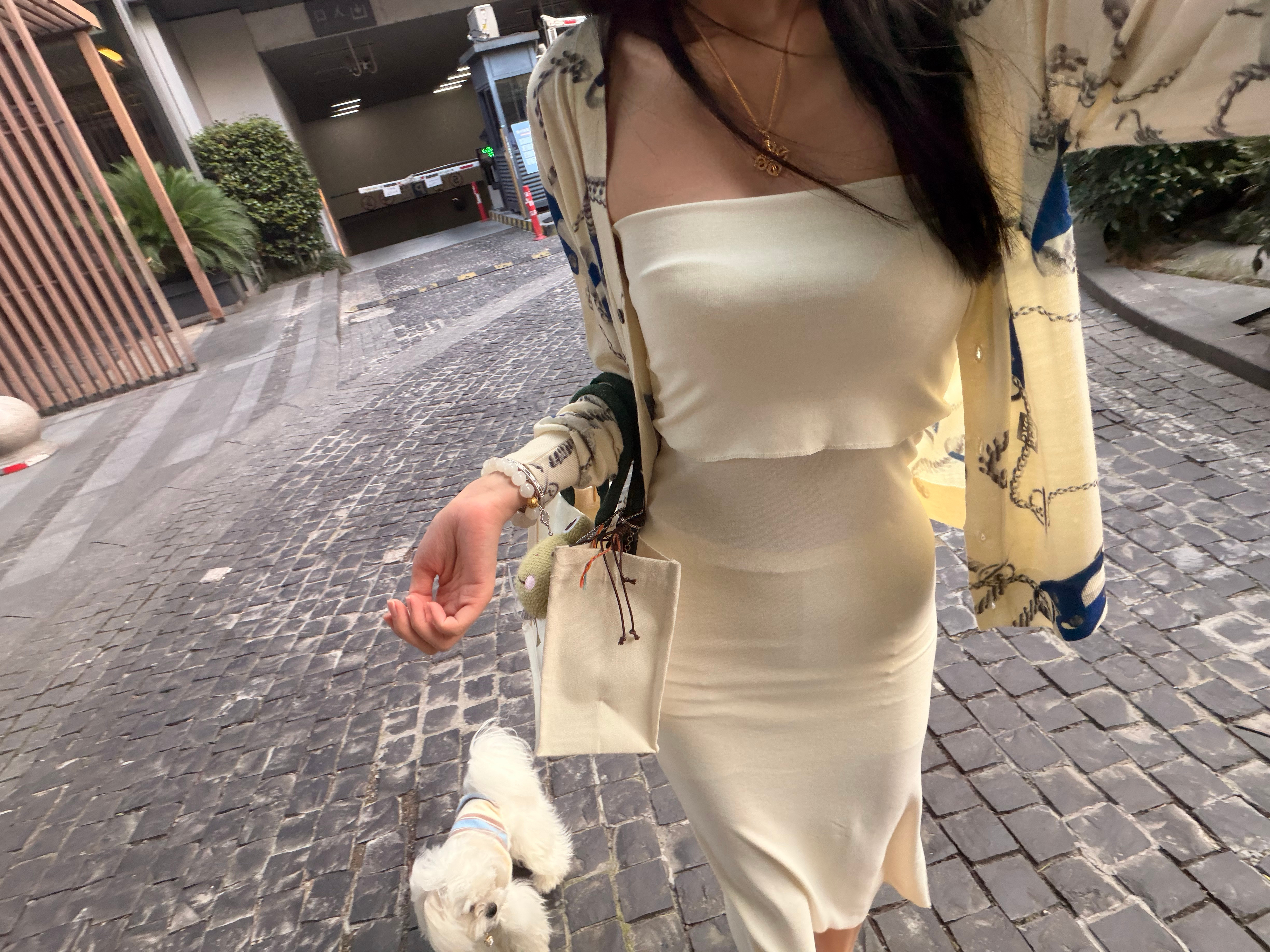 菩提心，玲珑颜，清净骨，慈悲缘• 怀菩提心，展玲珑颜，行温柔事，安得自在 