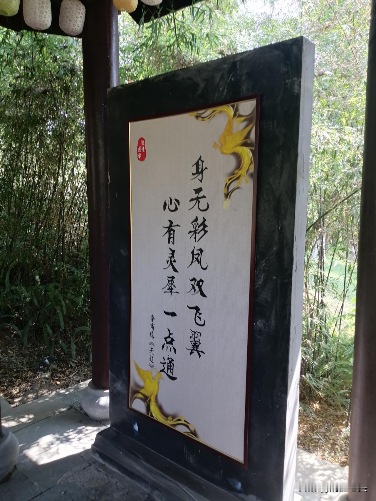 全网夸爆的那封告别信，写得越好，我越觉得他没放下

刚刷到那封丈夫写给出轨妻子的