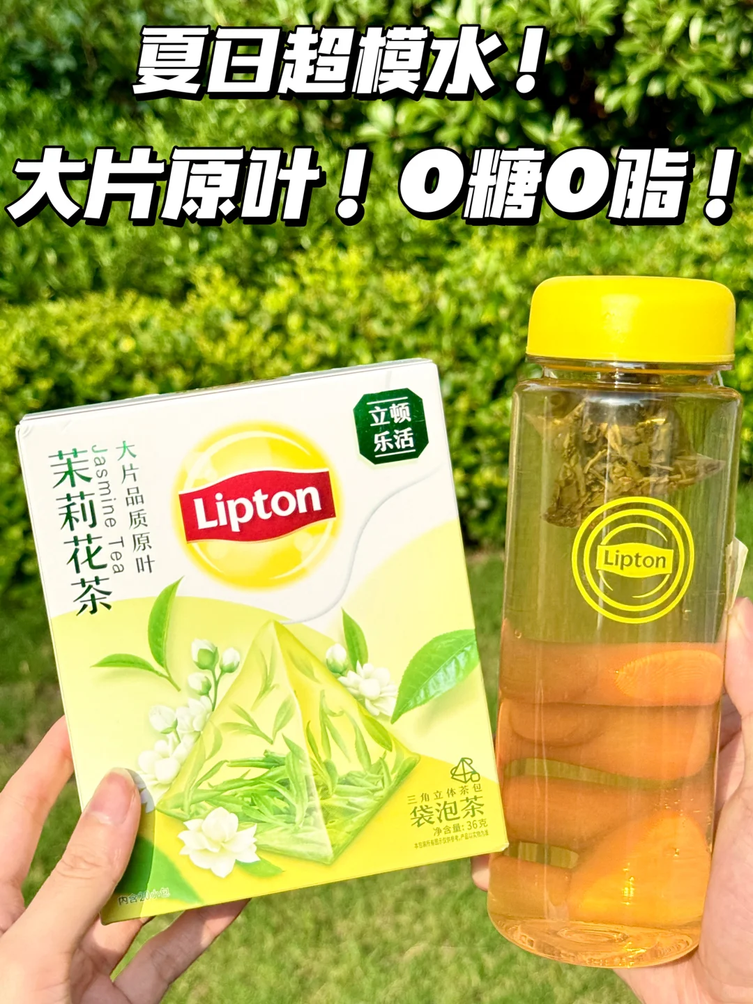 安利给夏天不爱喝水的姐妹！