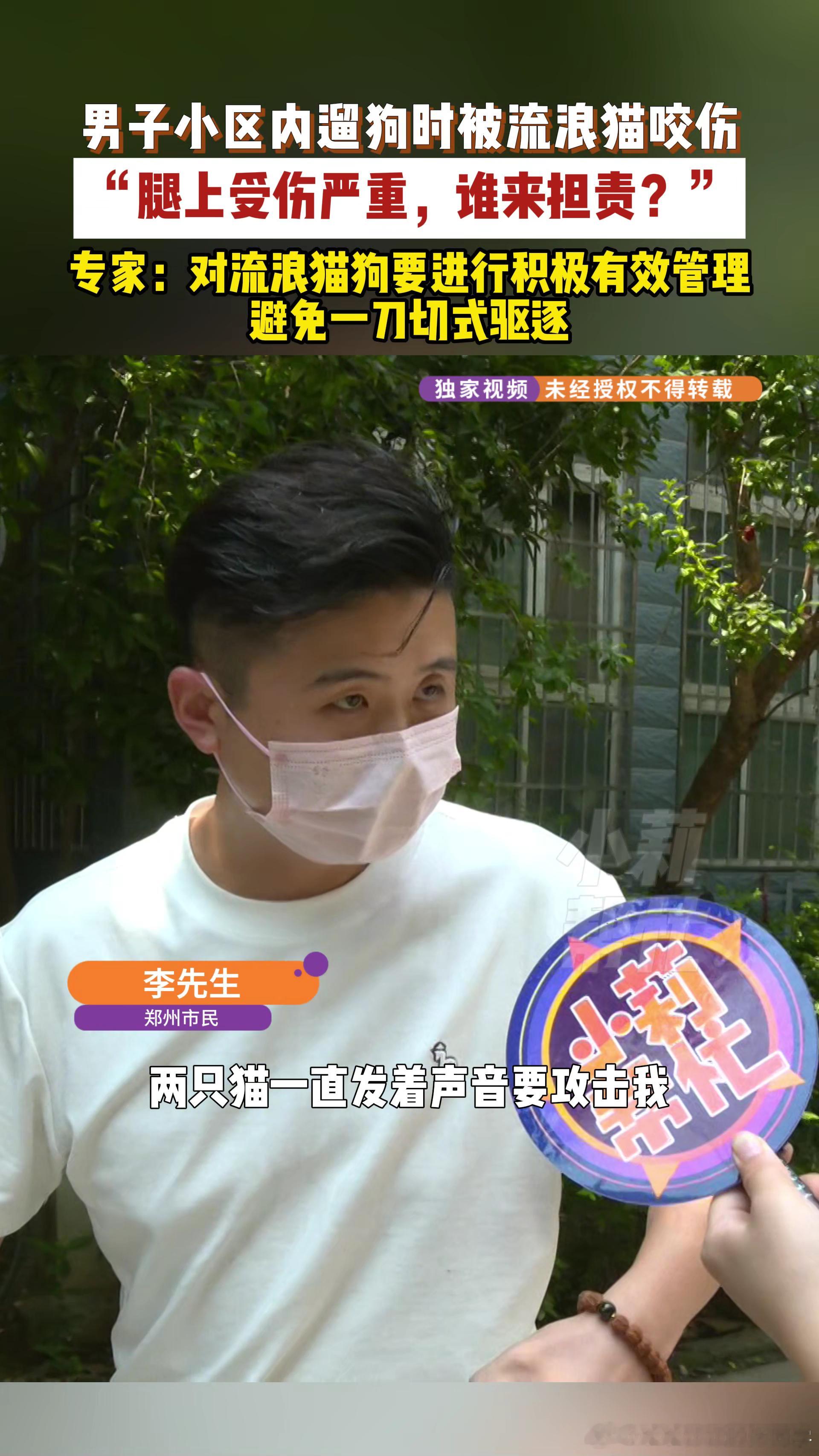 男子遛狗时被流浪猫咬屁股小猫防备心重，受到惊吓容易做出自保举动，遛狗的时候都会远