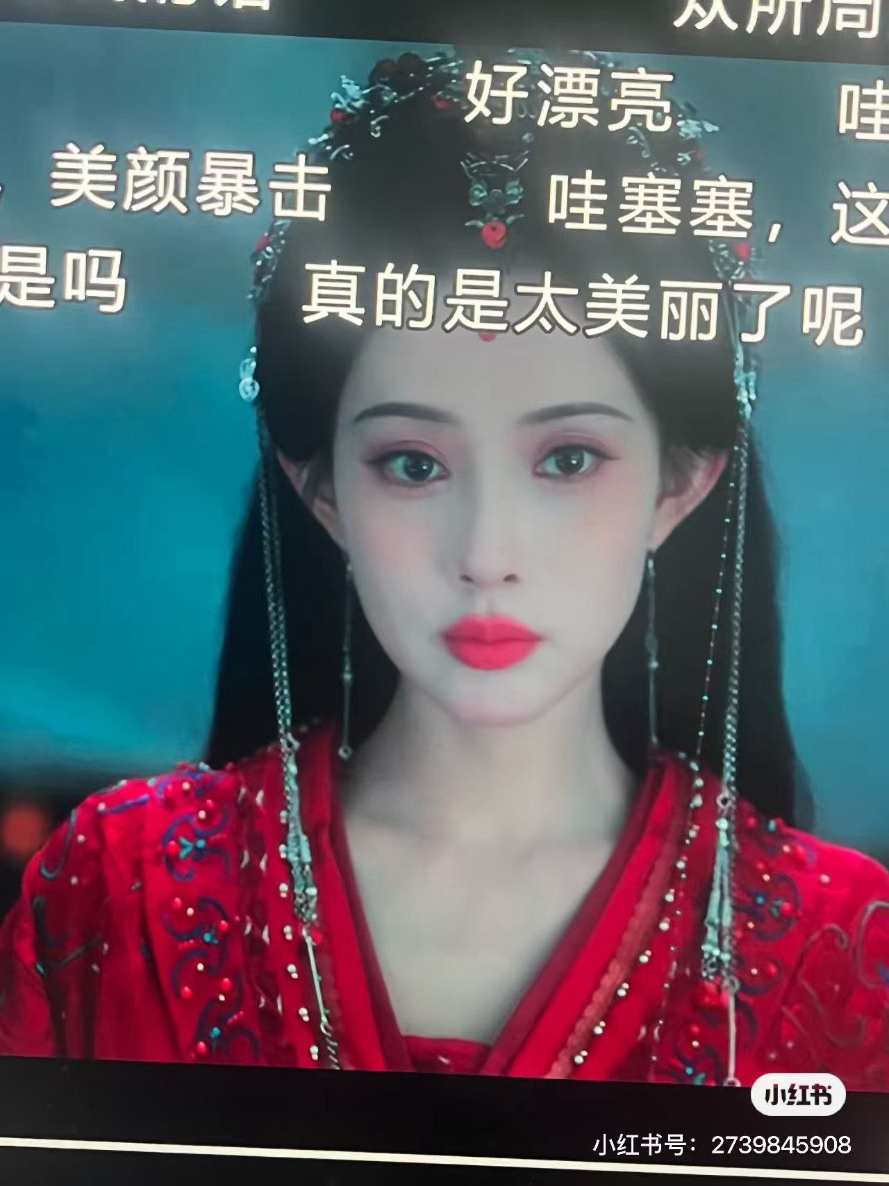 我不行了这又瞪眼的木头