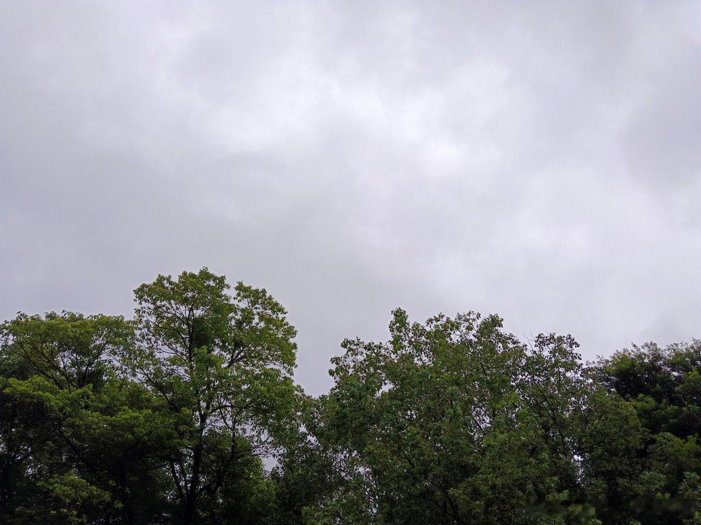 这种天气爬山真是舒爽！没太阳没下雨，有微风，偶尔带点微细毛毛雨，凉爽又惬意。人也