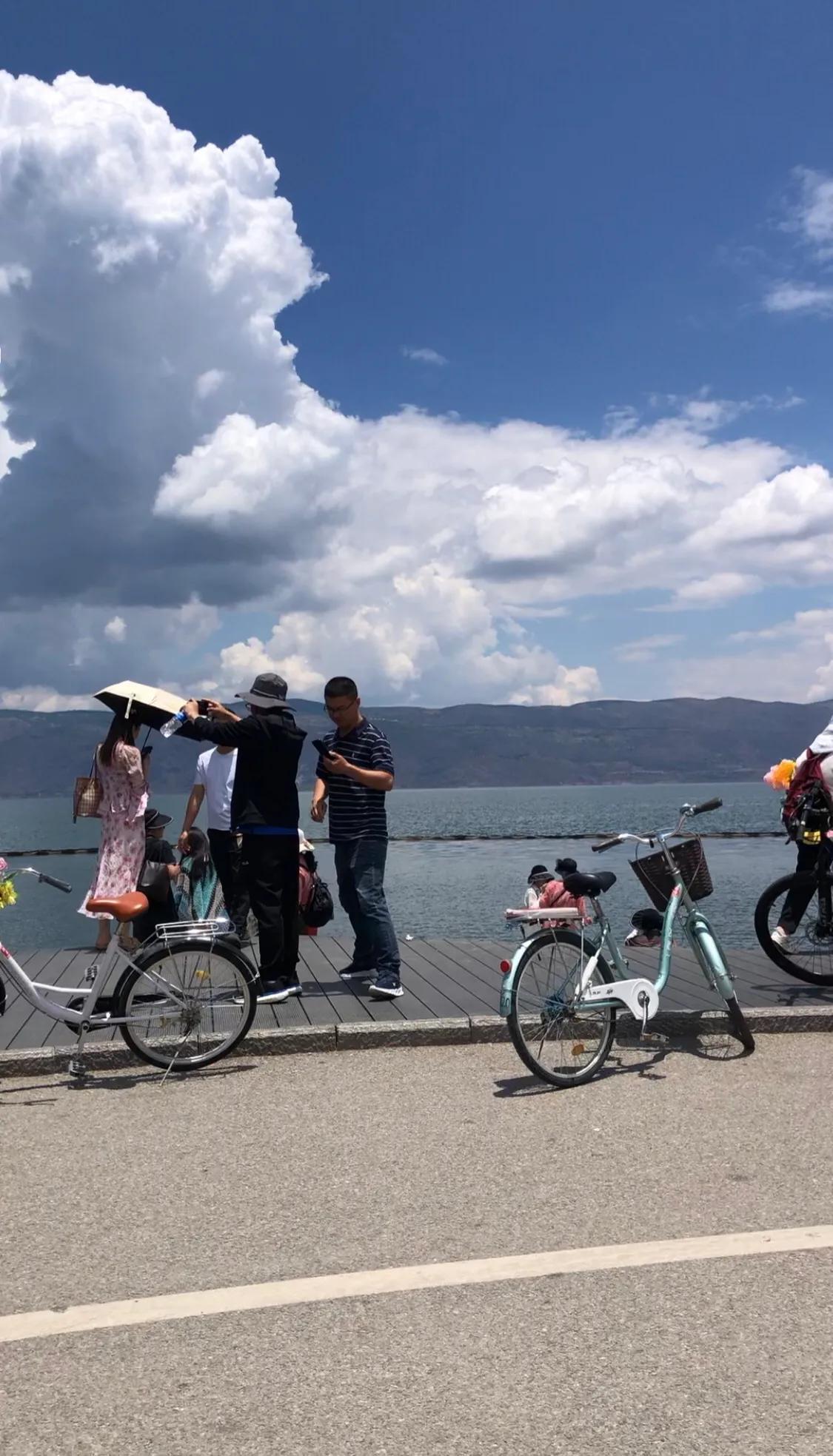 洱海S湾，中缅边境，这是什么花