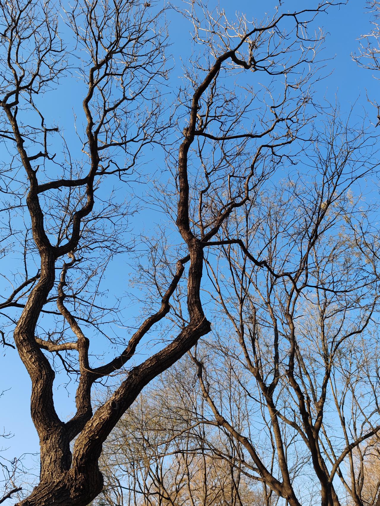 晒图笔记大赛寻冬天之美。
