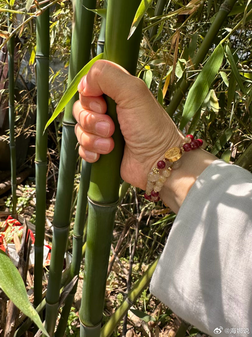食慧妻财子禄寿，人人想占全。 