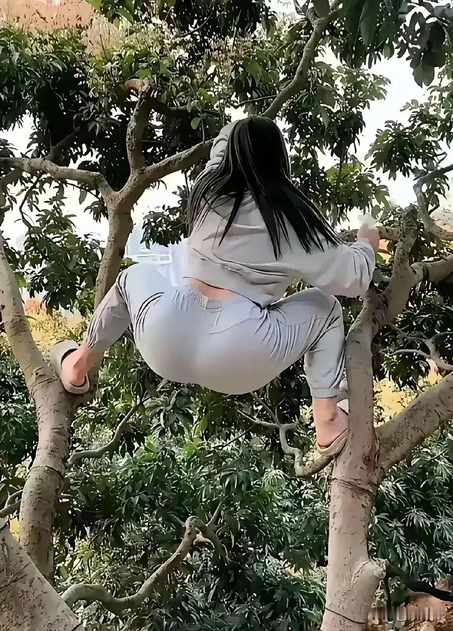 唉哟，这女人胆恁大？这样挺危险的，万一树枝断掉、拖鞋滑掉，都可能让人跌倒下来，就