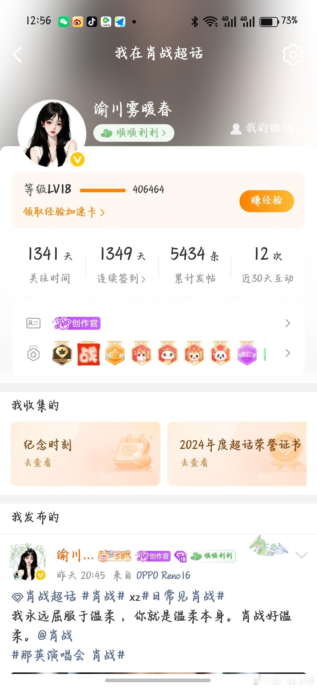 审核 