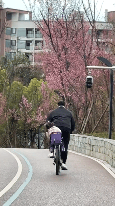 果然是父爱如山 地动山摇