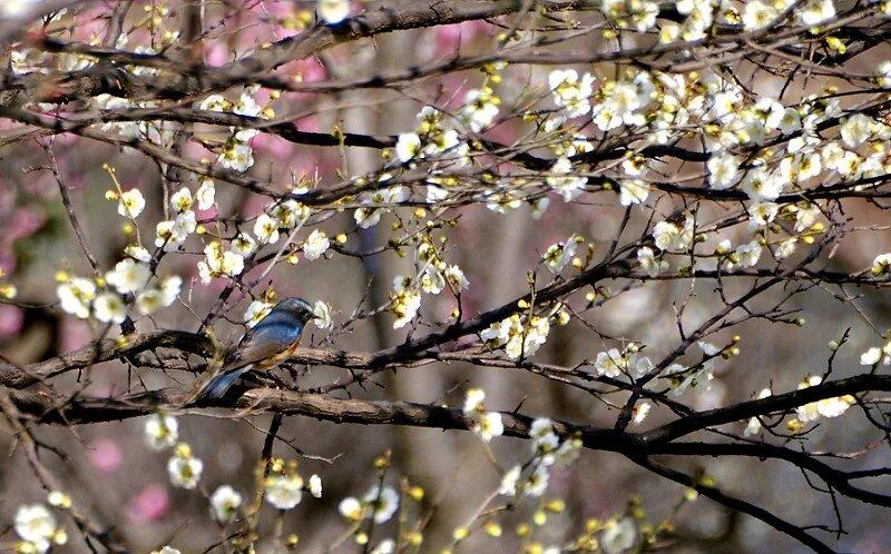 读读书，听听音乐，看看头条，玩玩抖音都是快乐的低成本小事，你赞同吗？