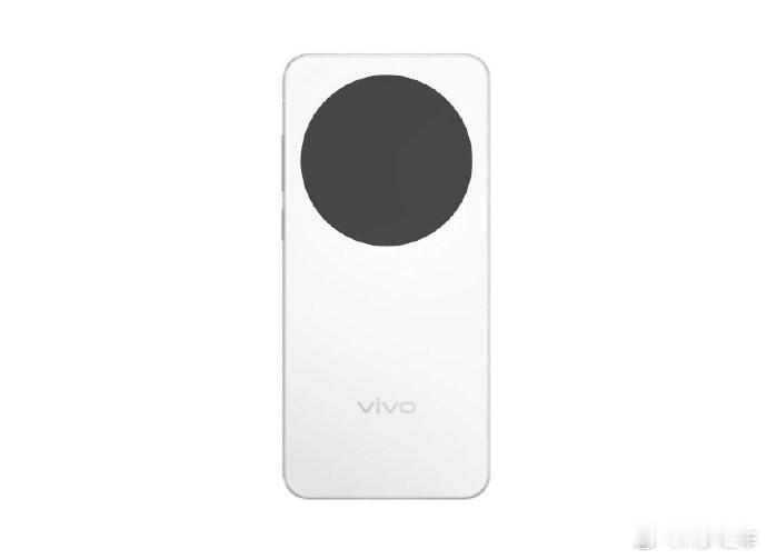 爱了，爱了，vivo X300影像配置曝光：主摄2亿像素，+50Mp 超广角 I