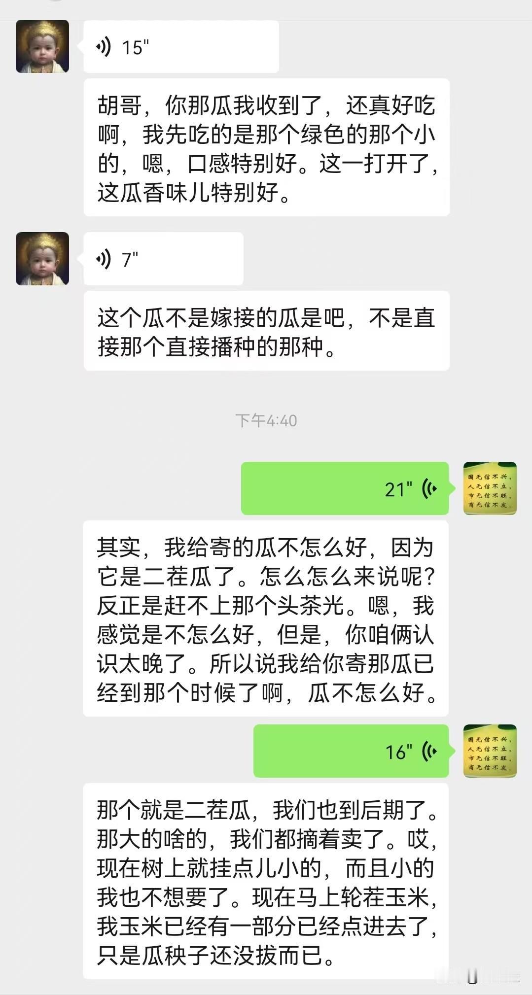 四平瓜农吃过我种的甜瓜后，问我种的是不是自根苗？我说是，而且蜜蜂授粉，不打化学农