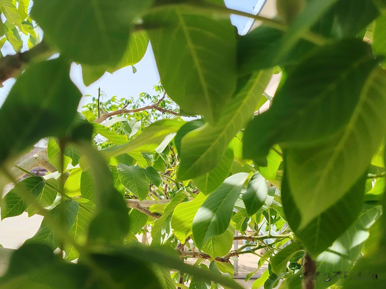 看了一篇文章，是这样写的：女儿9岁了，当妈的叫她睡觉一定要反锁住门，二婚的老公知