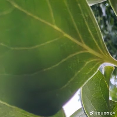 每日一善 人生路上，要学会善待，善待他人，可以让人生走得更远；善待自己，可以让生