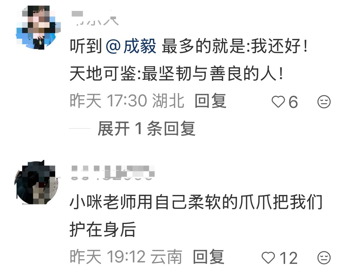 每次看到成毅、听他说话，心都会慢慢静下来。干净、温柔、踏实、沉稳，自带一种让人安