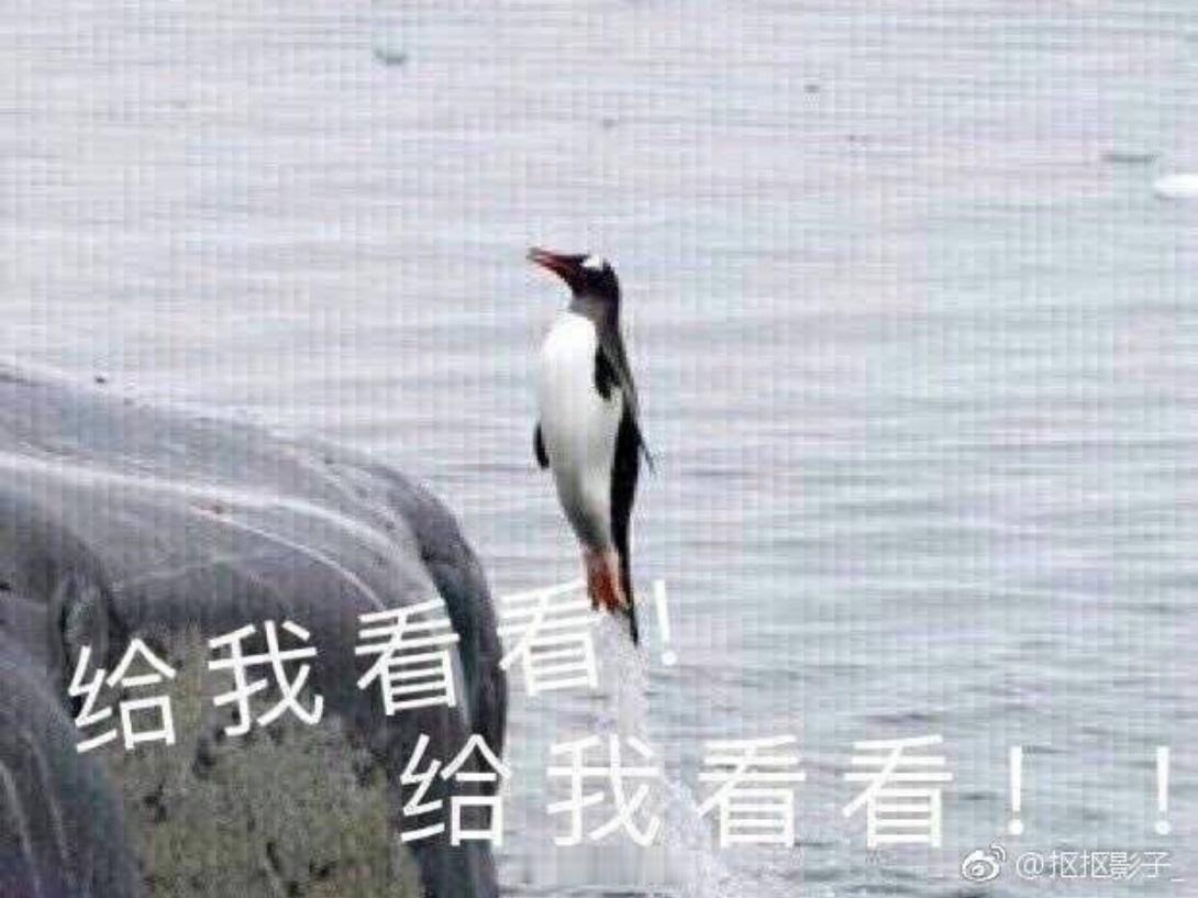 在📕看到《觉醒》开机信息贴下一堆人七嘴八舌在讨论，其中有人问：啊？郭小四的艺人