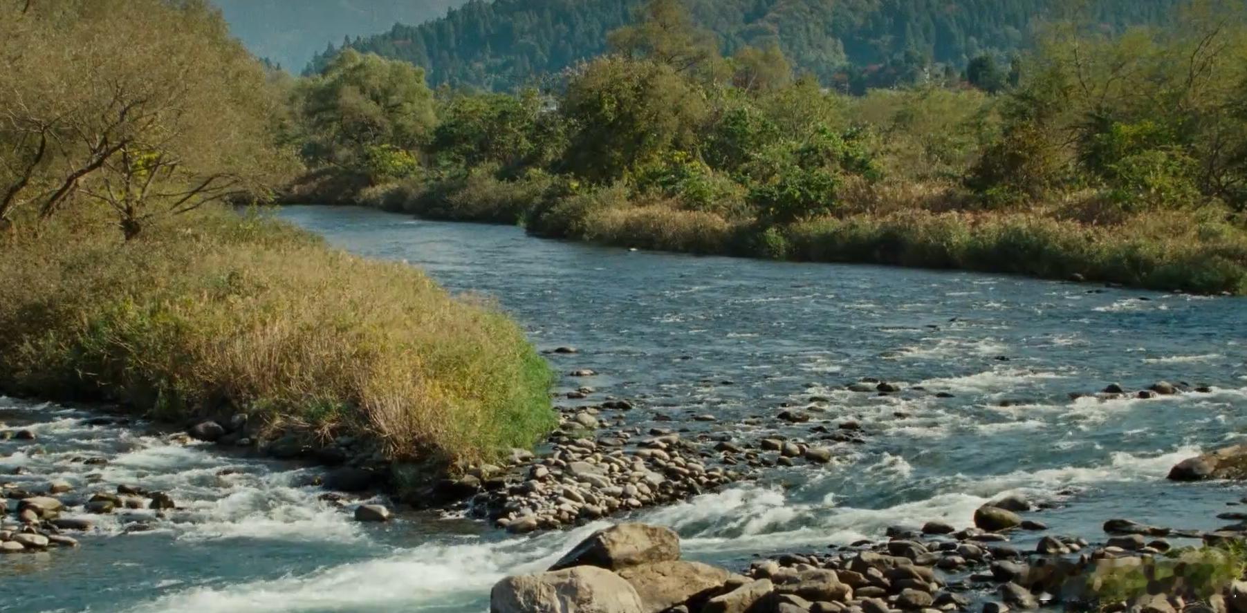 准备闭门修炼，除了做做广告，最低限度更新，暂时就不出来了。闭关前说说刚看的一部电