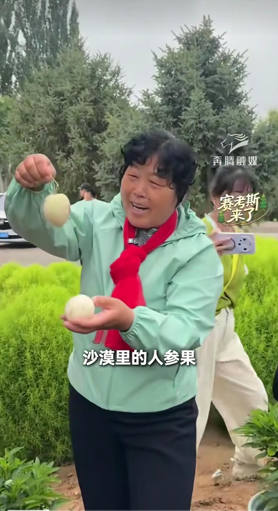 “要让他一下飞机就能尝到沙漠里的甜！”赛考斯要和殷玉珍见面了！殷玉珍带了两颗自己